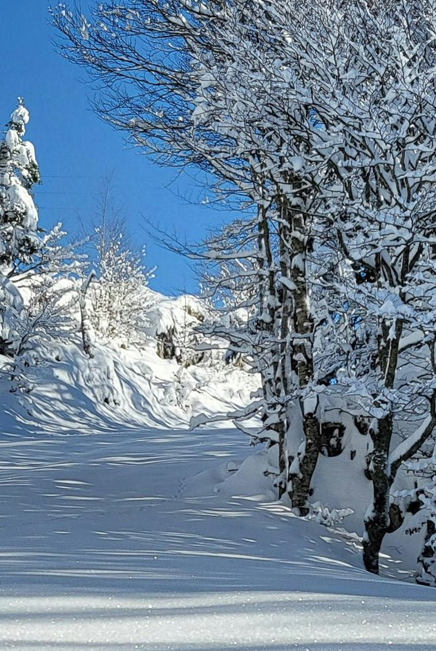 THE SNOW KEPT A SECRET - Part I - Stanza