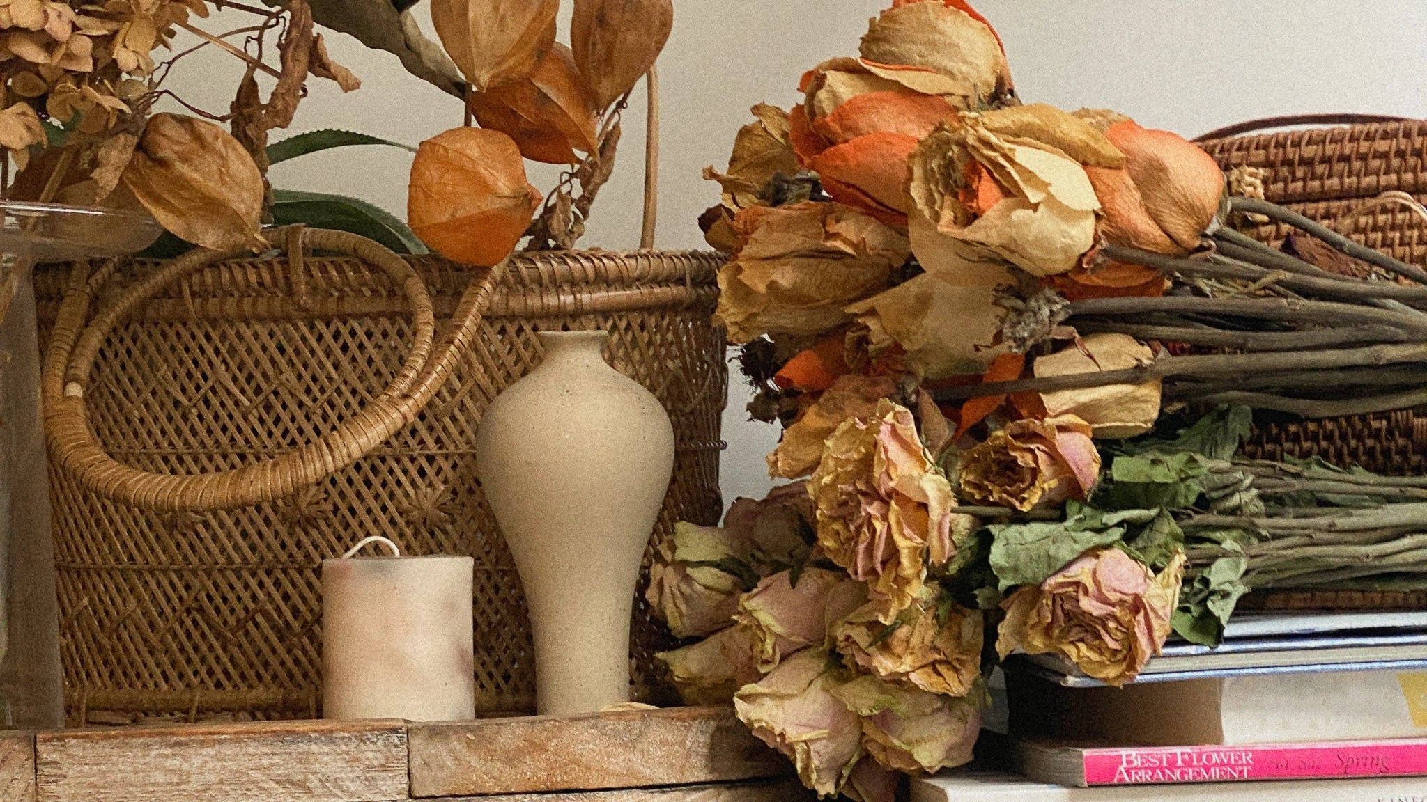 Autumn EDIT 2024: Goodbye hot summer; Hello crispy richness - Stanza