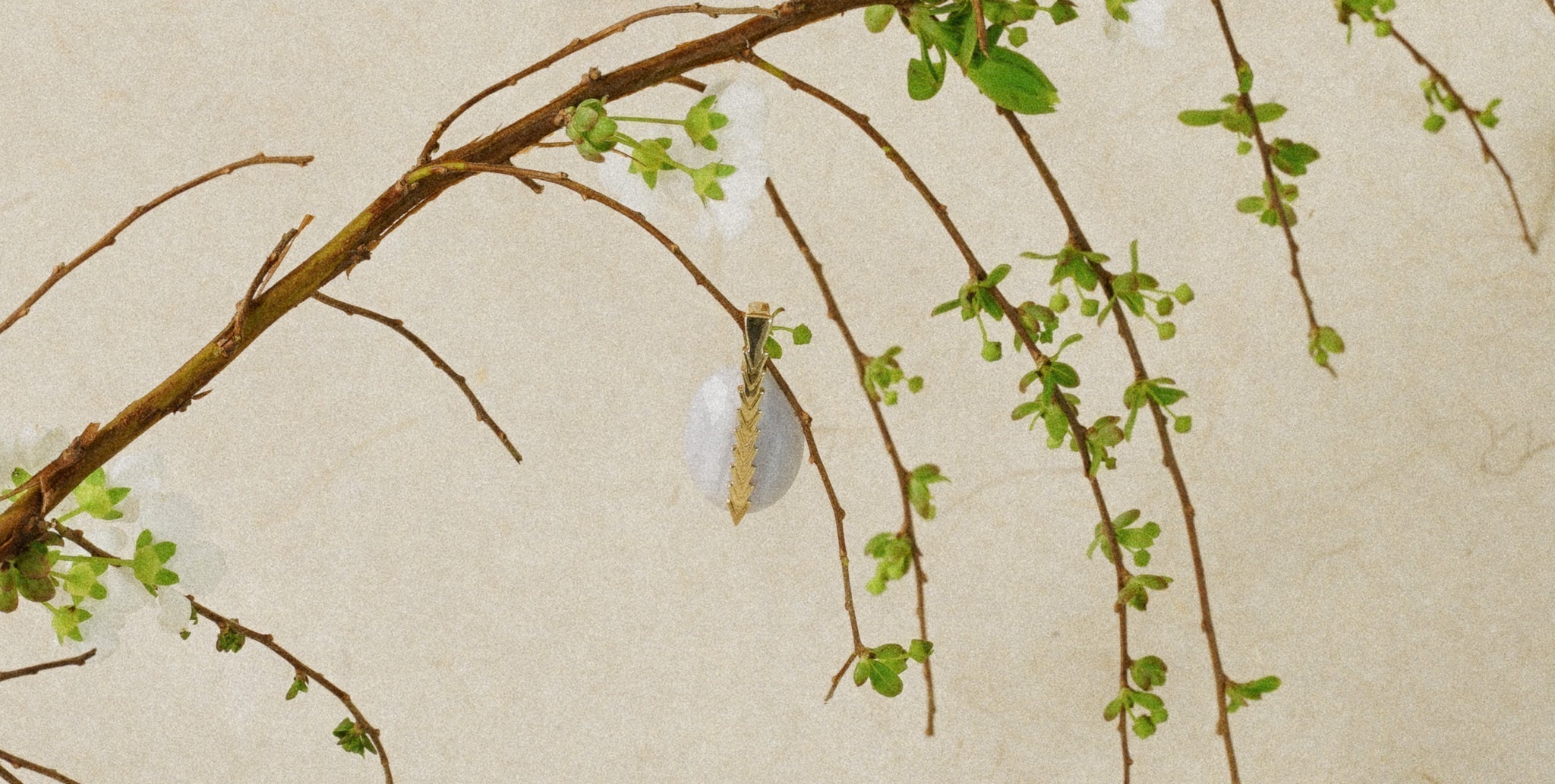 SPRING EDIT2025 : Going Gentle into that Seasonal Bloom - Stanza