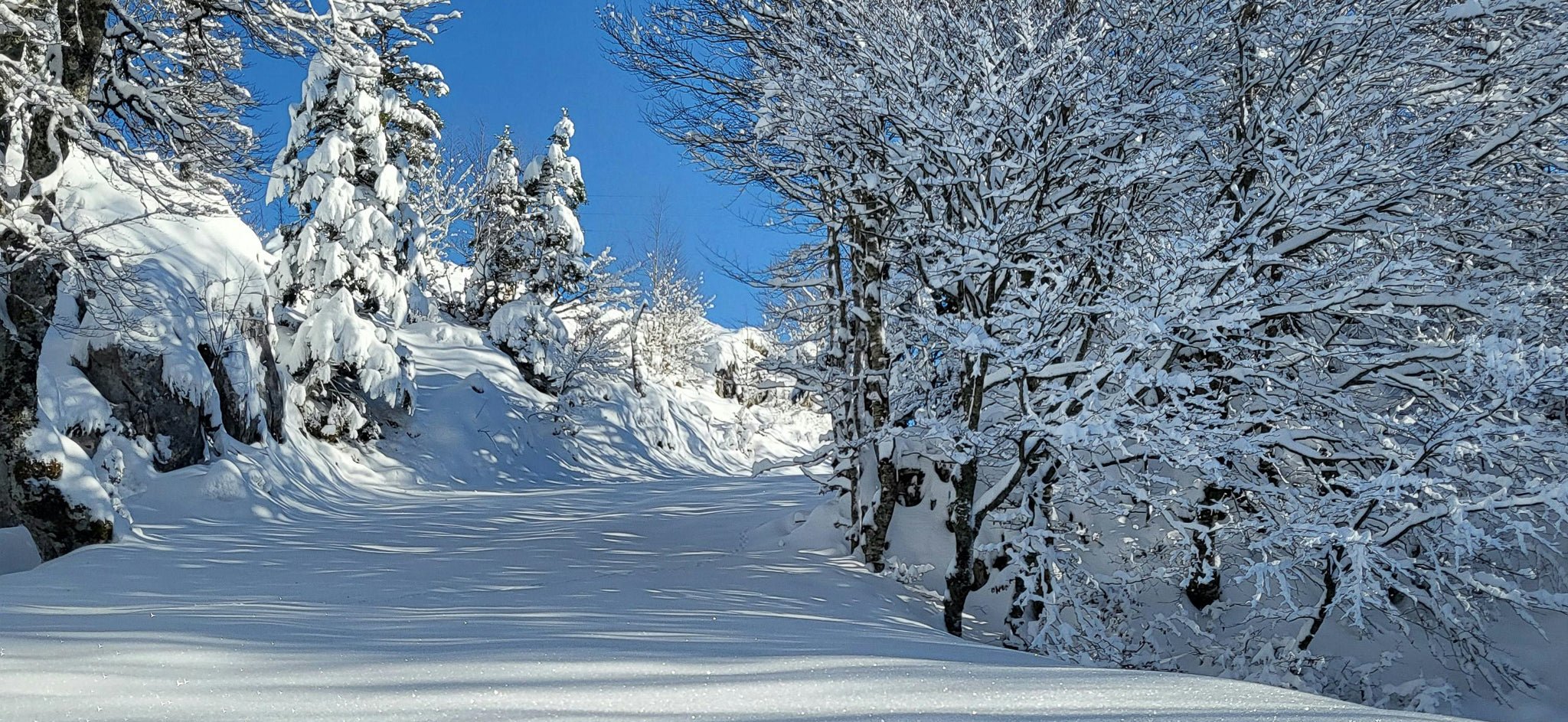 THE SNOW KEPT A SECRET - Part I - Stanza