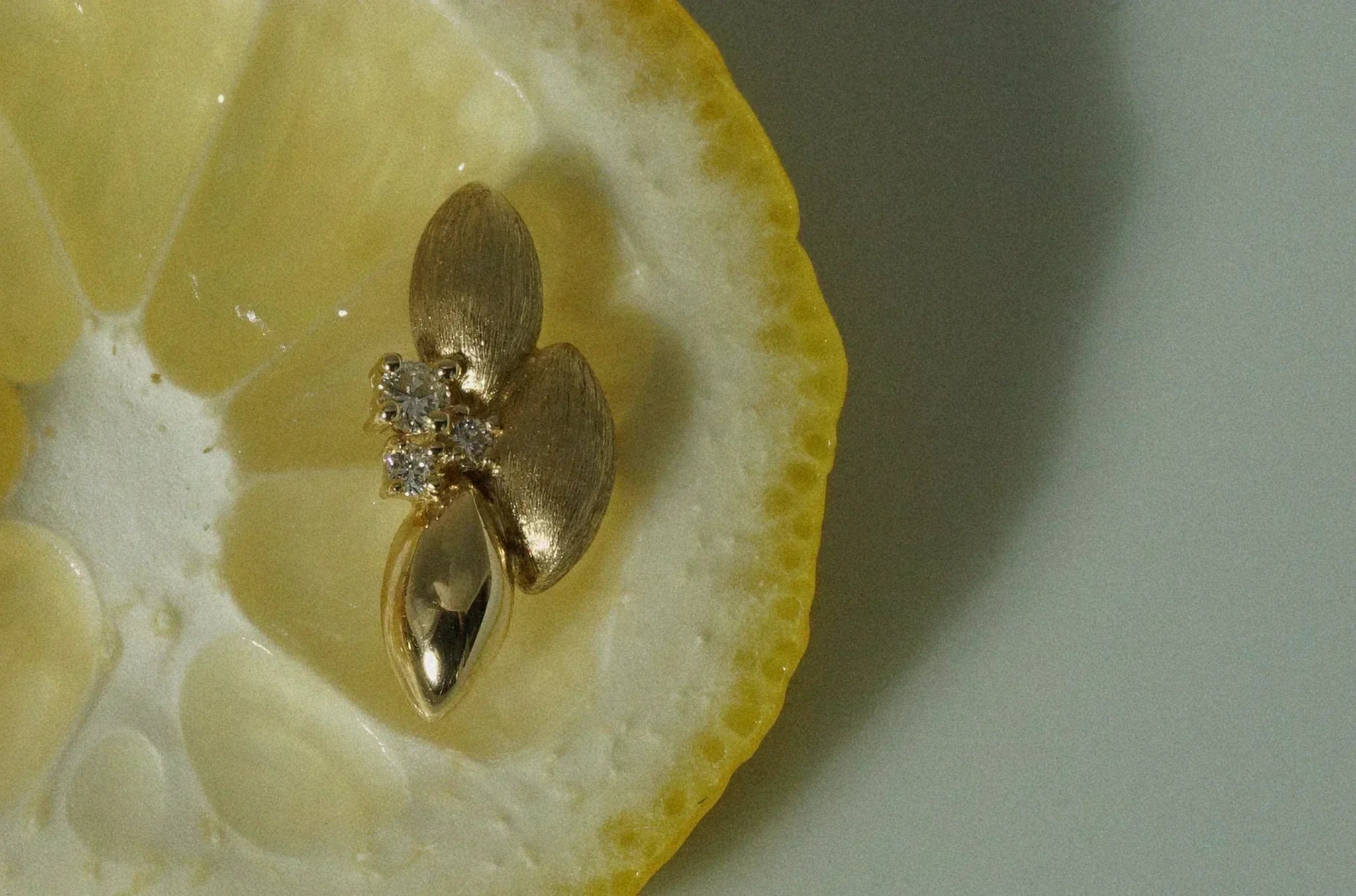 SUMMER EDIT2025 : Juicy Things, Golden Rings - Stanza