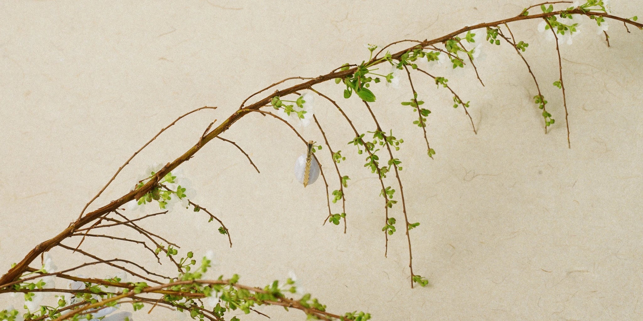 Spring - Stanza