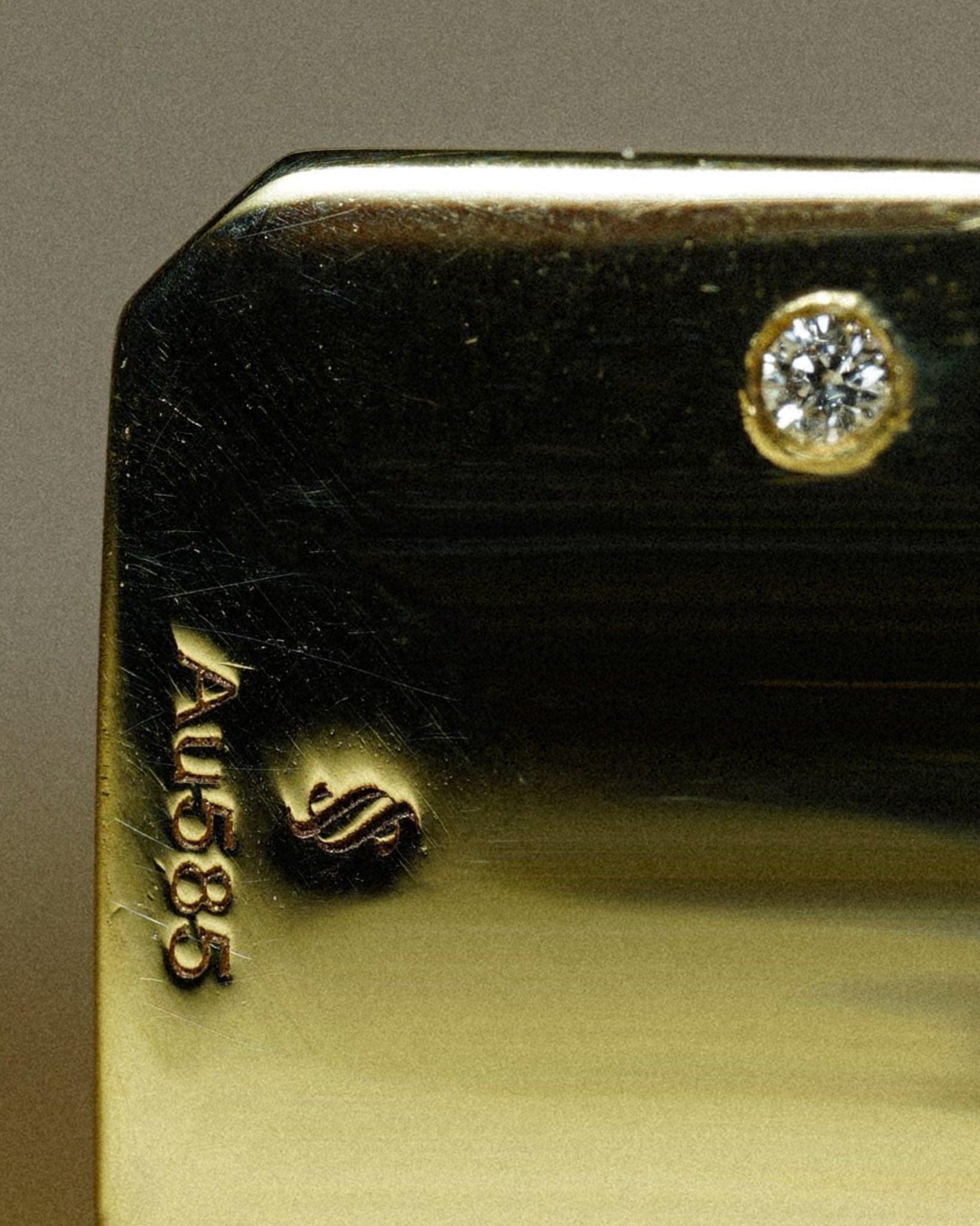 Colossus Earrings - 14k yellow gold - Stanza - 5